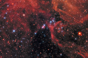 Image with missing alt attribute found on focus.it