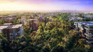 Ghaf-Wood-Dubailand-01