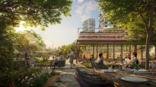 Ghaf-Wood-Dubailand-05