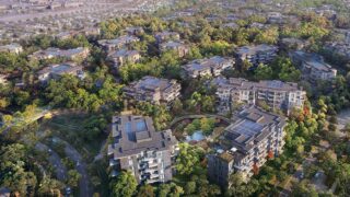 Ghaf-Wood-Dubailand-09