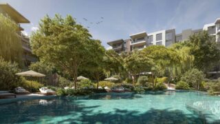 Ghaf-Wood-Dubailand-08