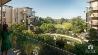 Ghaf-Wood-Dubailand-12
