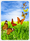 Image with missing alt attribute found on free-freecell-solitaire.com