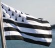 Image with missing alt attribute found on freenews.fr