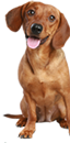 Image with missing alt attribute found on futterfreund.de