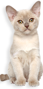 Image with missing alt attribute found on futterfreund.de