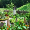 Image with missing alt attribute found on gartenjournal.net