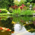 Image with missing alt attribute found on gartenjournal.net