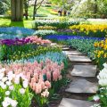 Image with missing alt attribute found on gartenjournal.net