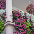 Image with missing alt attribute found on gartenjournal.net