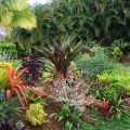 Image with missing alt attribute found on gartenjournal.net