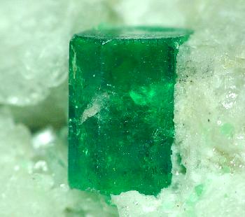 Image with missing alt attribute found on gemsociety.org