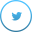 Image with missing alt attribute found on globaldelight.com