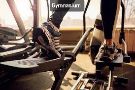 Godrej Ananda Amenities Gymnasium _ KIADB Aerospace Park Bagalur