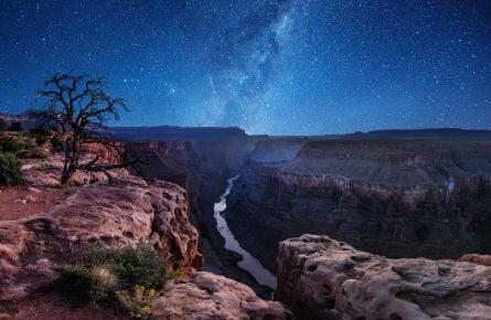 Image with missing alt attribute found on grandcanyonlodges.com