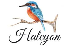 The Myth of Halcyon &ndash; The Halcyon Days