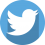 twitter-circle