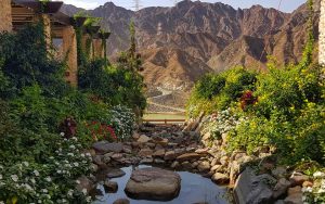 Fujairah Tour