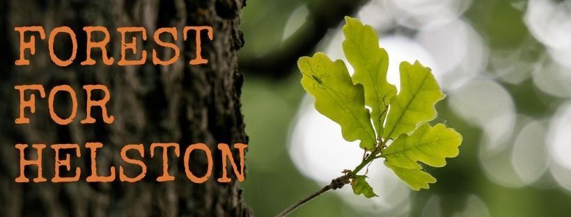 Image with missing alt attribute found on helstonclimateaction.earth