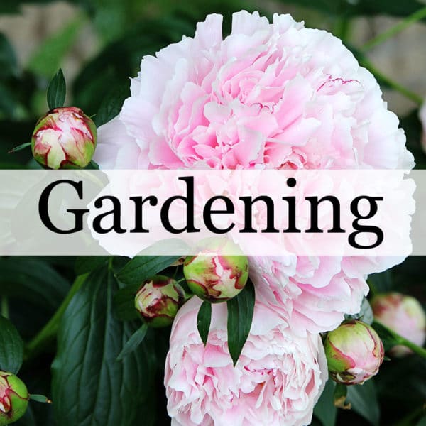 flower garden ideas and outdoor decorating projects