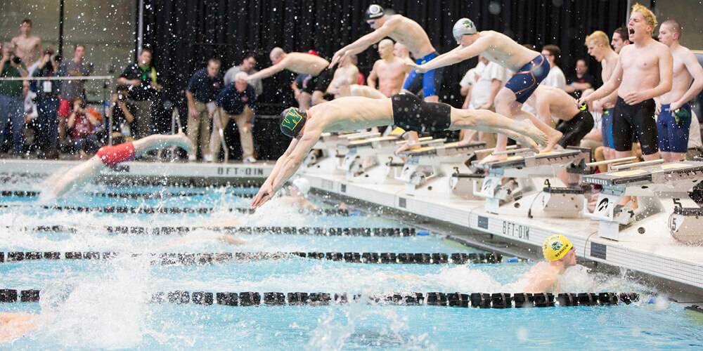 Image with missing alt attribute found on iahsaa.org