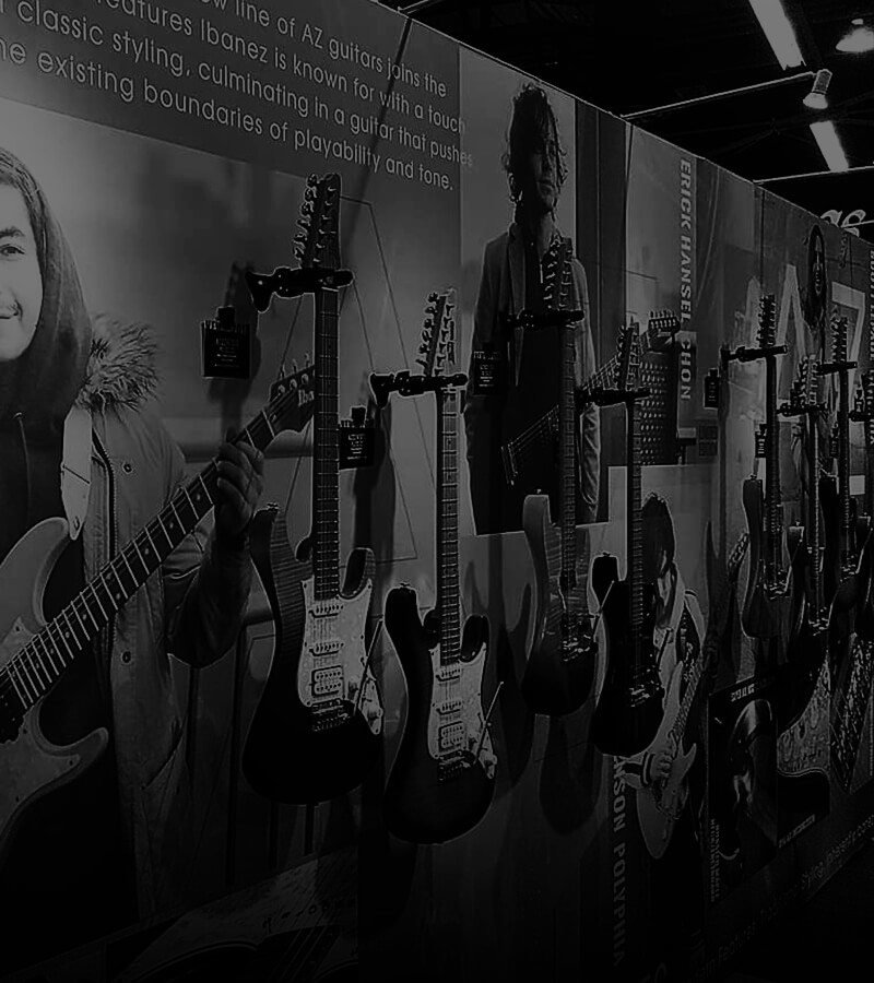 Image with missing alt attribute found on ibanez.com