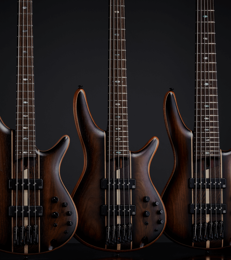 Image with missing alt attribute found on ibanez.com