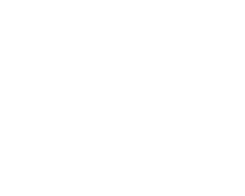Image with missing alt attribute found on idosell.com