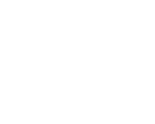 Image with missing alt attribute found on idosell.com