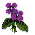 Image with missing alt attribute found on ifish.net