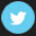 Image with missing alt attribute found on iicle.com