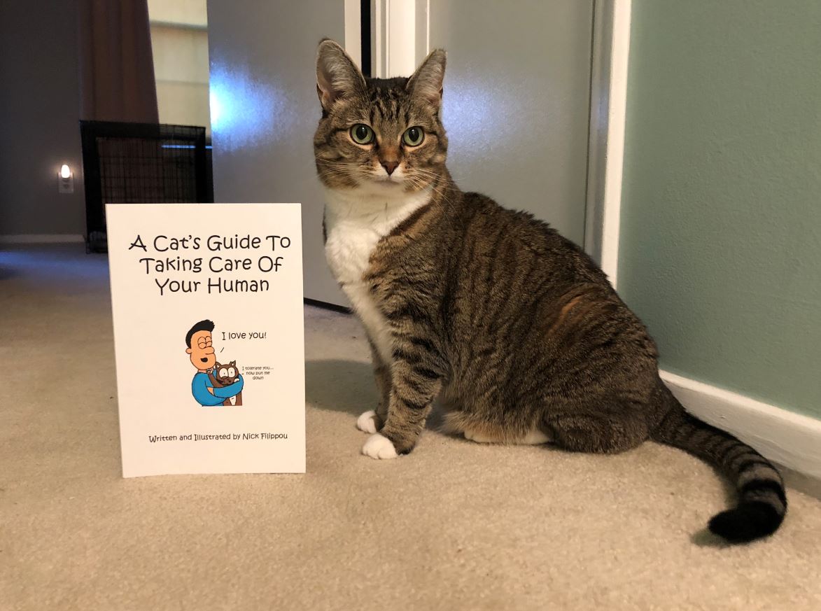 cat pictures