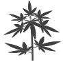 Image with missing alt attribute found on ilovegrowingmarijuana.com