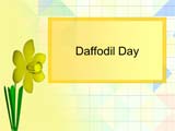 Daffodil Day