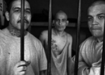Image with missing alt attribute found on insightcrime.org