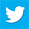 twitter_icon