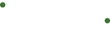 light logo