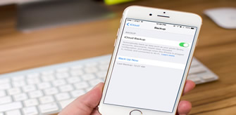 Forgot iTunes Backup Password