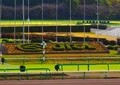 大本命アーモンドアイ惨敗！ネットでファン悲鳴　「なんで10万もつっこんだ...」「あまりのショックで」
