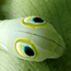 Image with missing alt attribute found on jiji.com