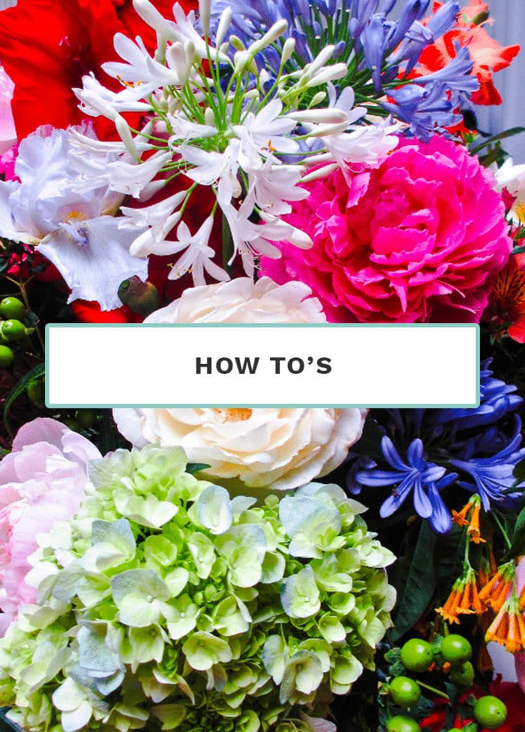 How To&rsquo;s