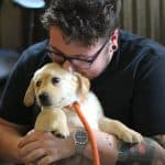 Image with missing alt attribute found on k9web.com