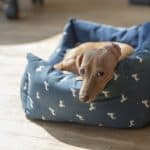 A dog laying in bed