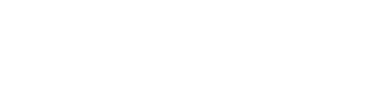 PS PROFI
