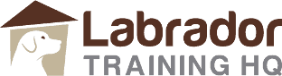 LabradorTrainingHQ
