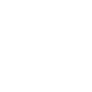 Image with missing alt attribute found on lanueva.com