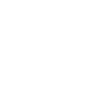 Image with missing alt attribute found on lanueva.com