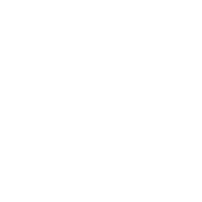 Image with missing alt attribute found on lanueva.com