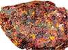 Image with missing alt attribute found on lenntech.com