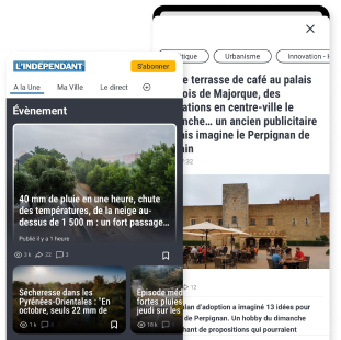 Image with missing alt attribute found on lindependant.fr